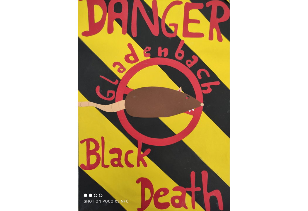 The plague of 1348 (Year 7)